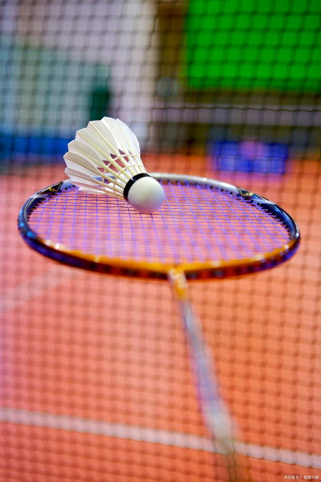 内史密斯加 内史密斯加