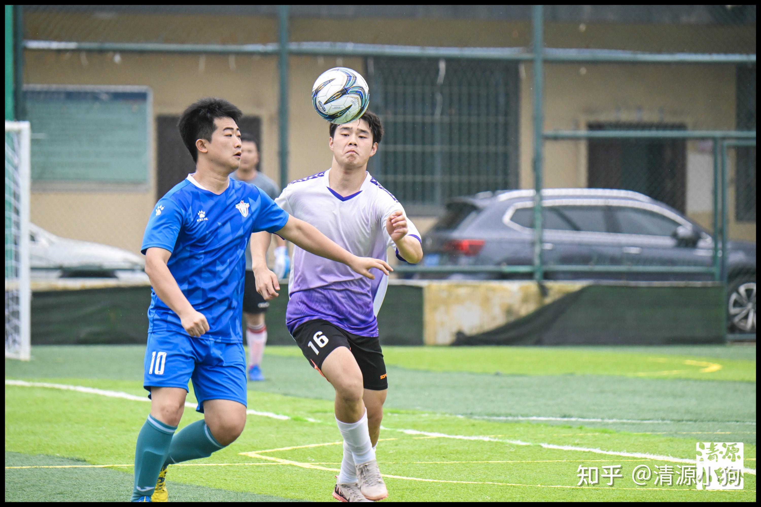 伤病的重创 伤病的重创